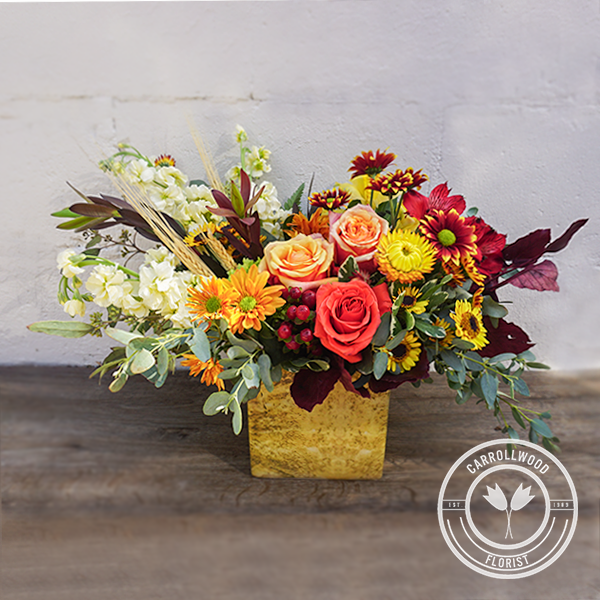 Aspen Carrollwood Florist