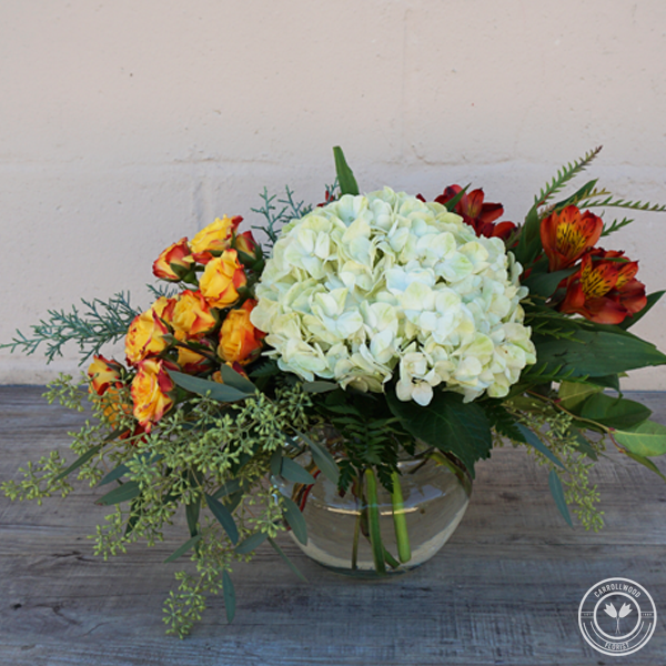 Charlotte Carrollwood Florist