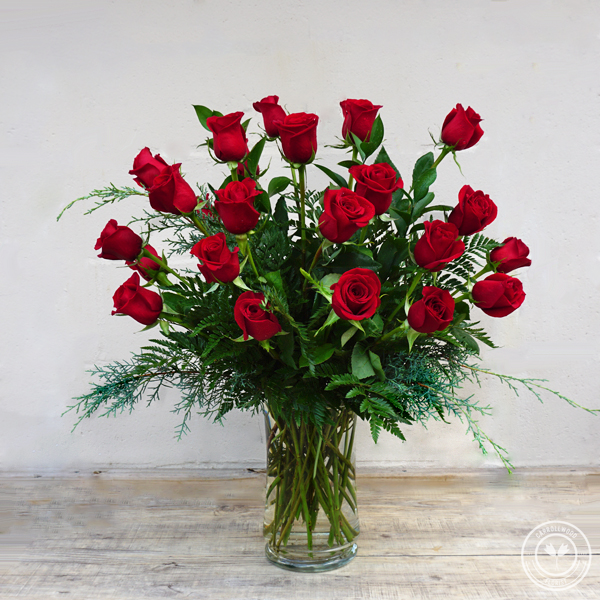 Two Dozen Roses :: Carrollwood Florist