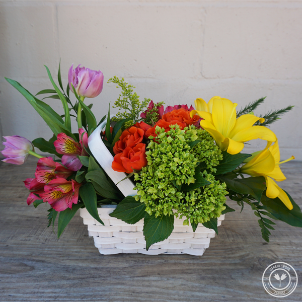 Florence Carrollwood Florist