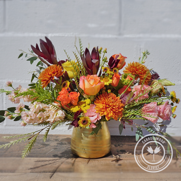 Ginger Carrollwood Florist