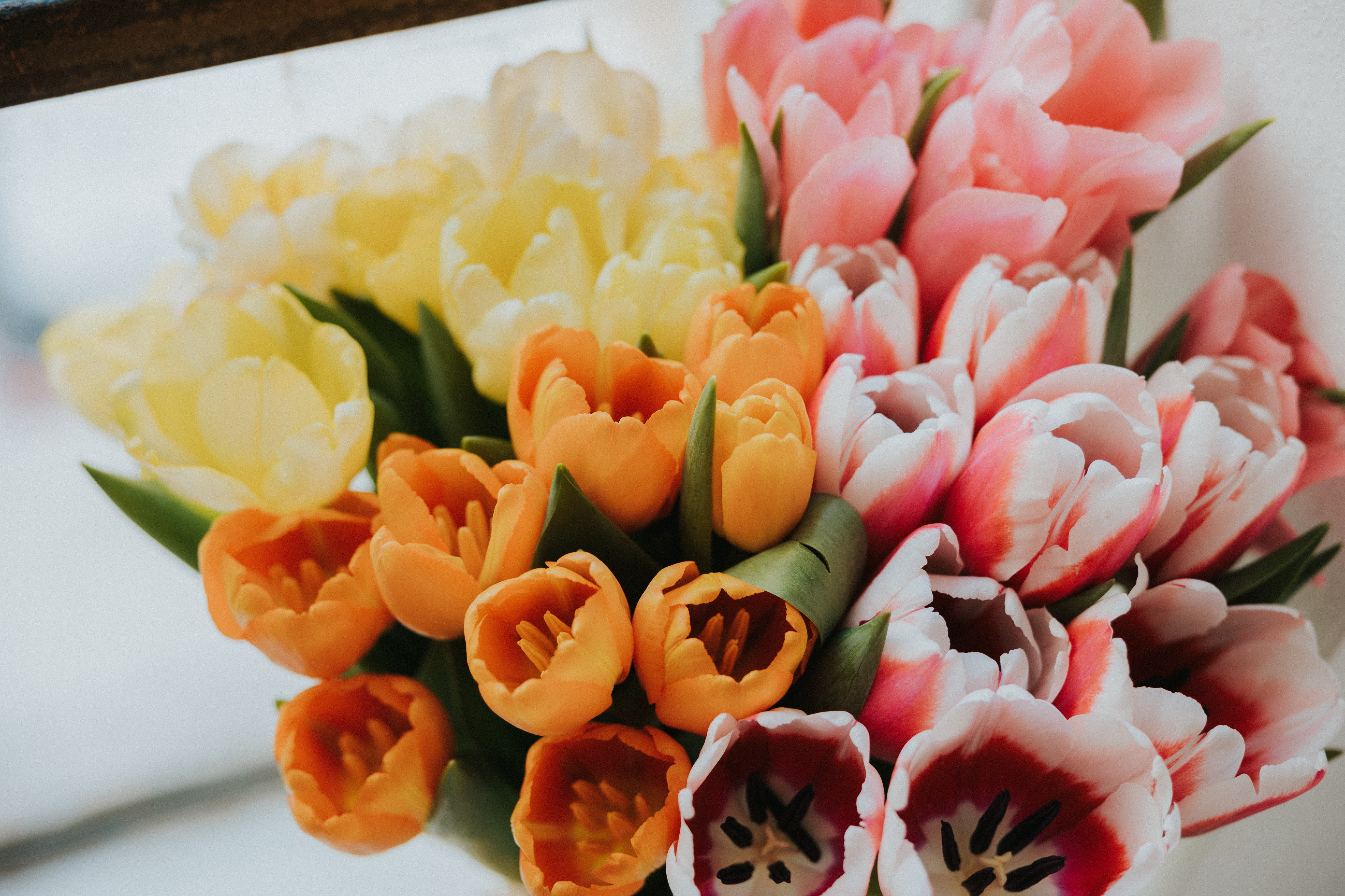 same day flower delivery Tampa, FL